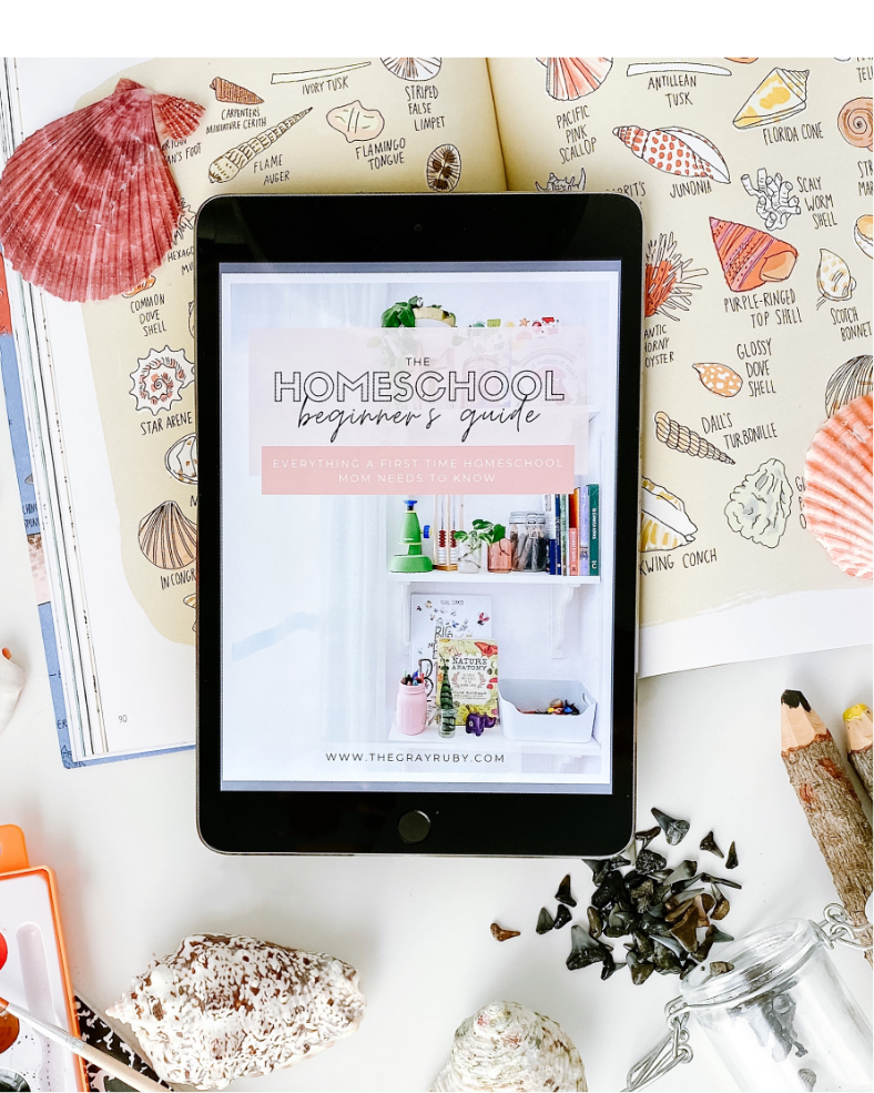 The Homeschool Beginners Guide