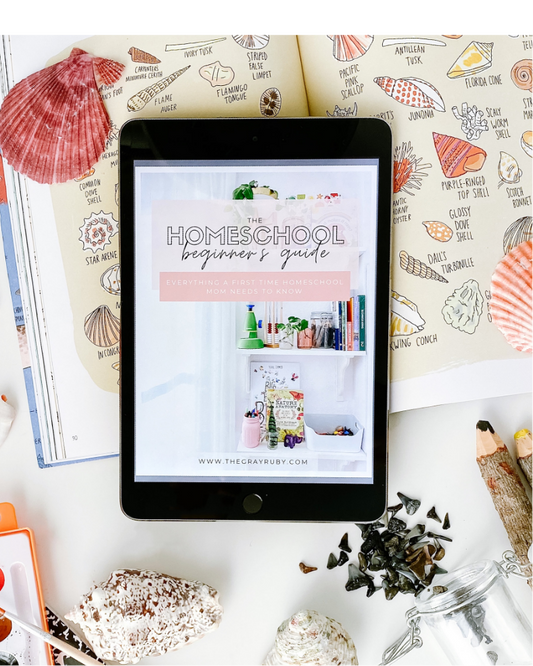 The Homeschool Beginners Guide